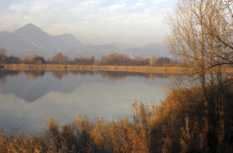 Veduta lago di Alserio dalla sede del Parco